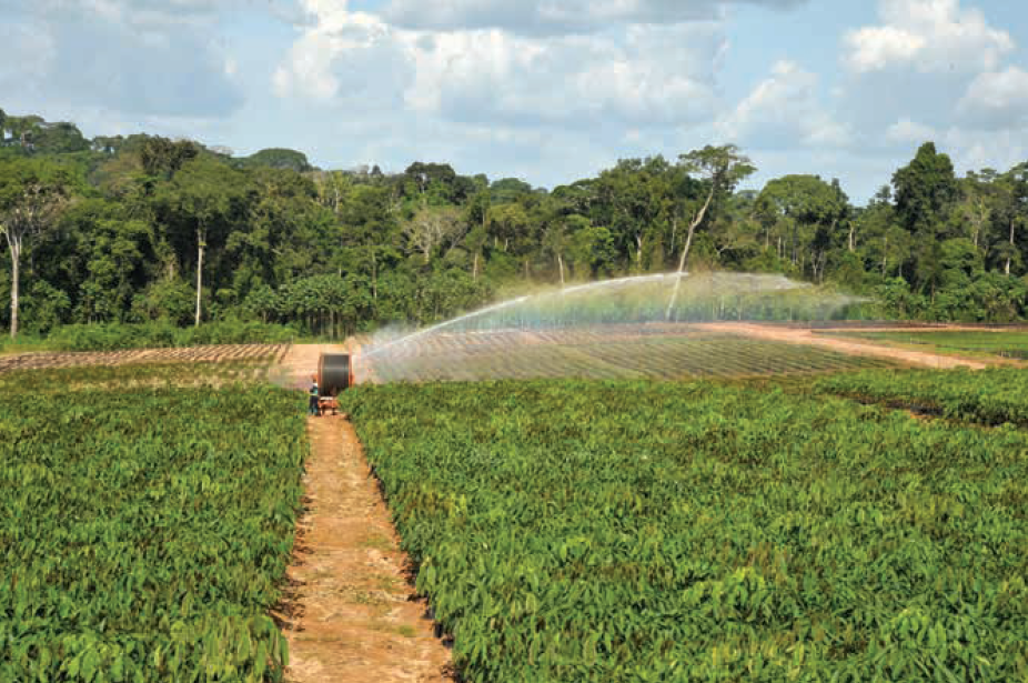 银河集团186net评估助力海南橡胶顺遂收购境外上市公司合盛集团
