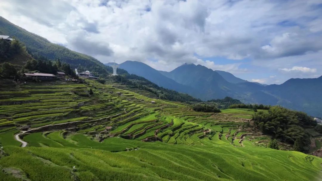 2023年度公司团建活动 | 探寻丽水景物