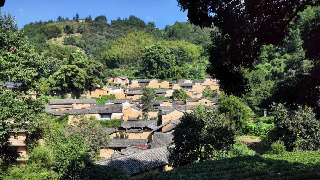 2023年度公司团建活动 | 探寻丽水景物