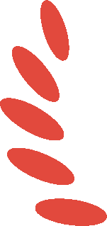 银河集团186net评估多名评估师荣获中评协“庆幸评估30年”资深会员称呼